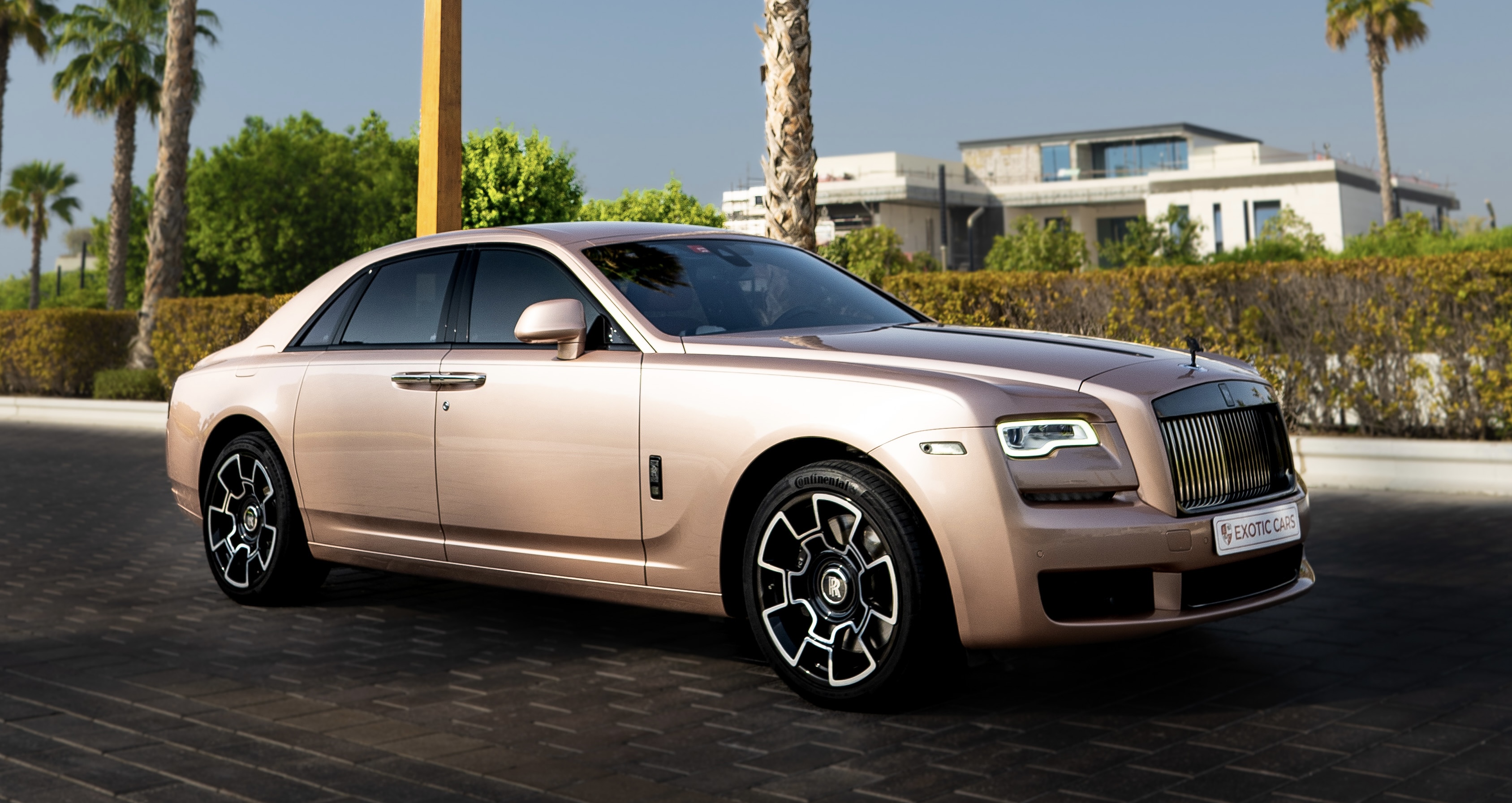 Rolls Royce Collection | Exotic Cars Dubai